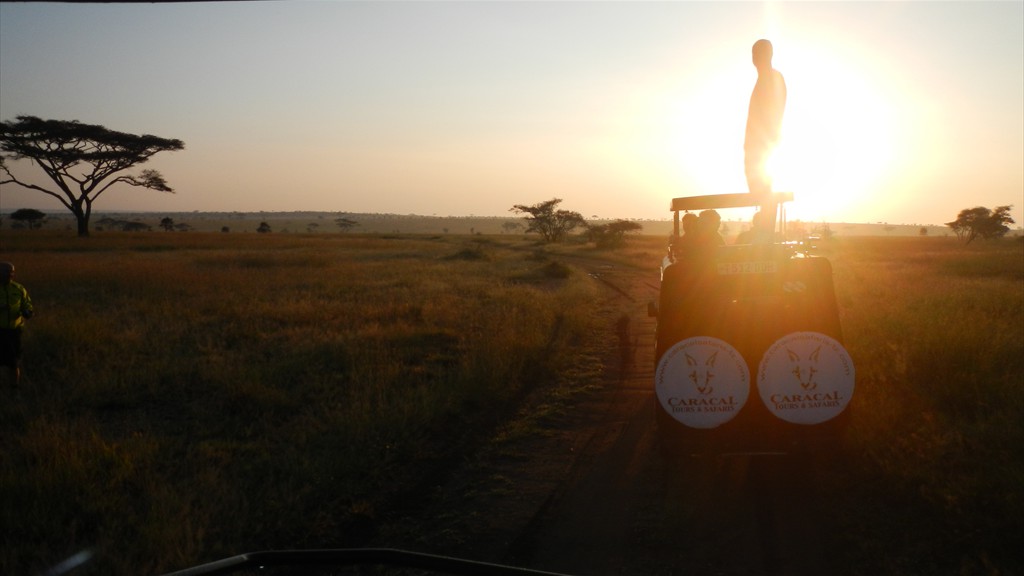 04. Serengeti & Ngorongoro (174)