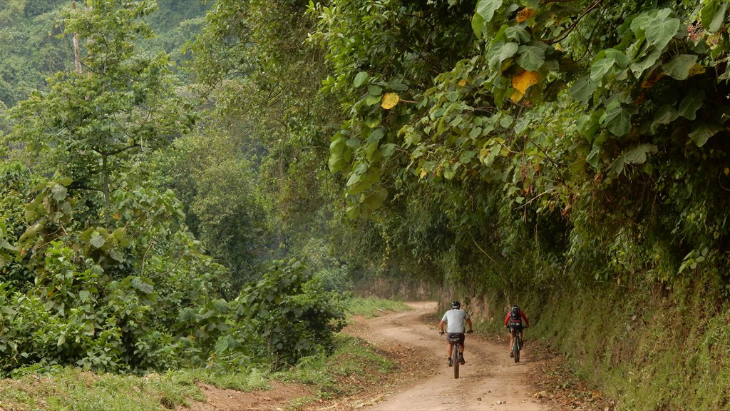 09. Ruhengeri - Queen Elizabeth NP (119)