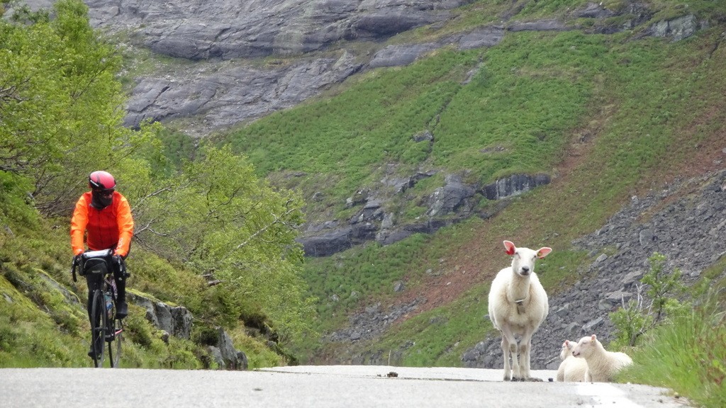 02. Flam - Geiranger (127)