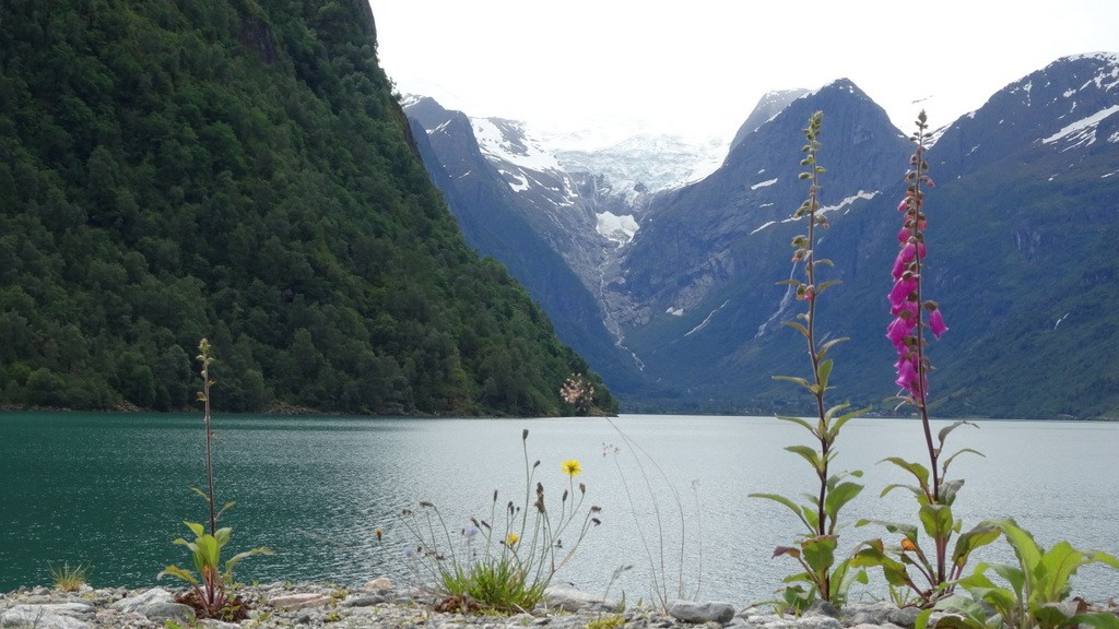 02. Flam - Geiranger (142)