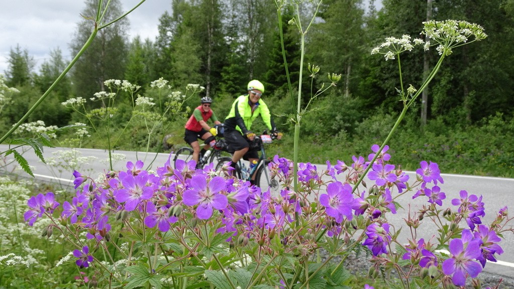 04. Trondheim - Torghatten (116)