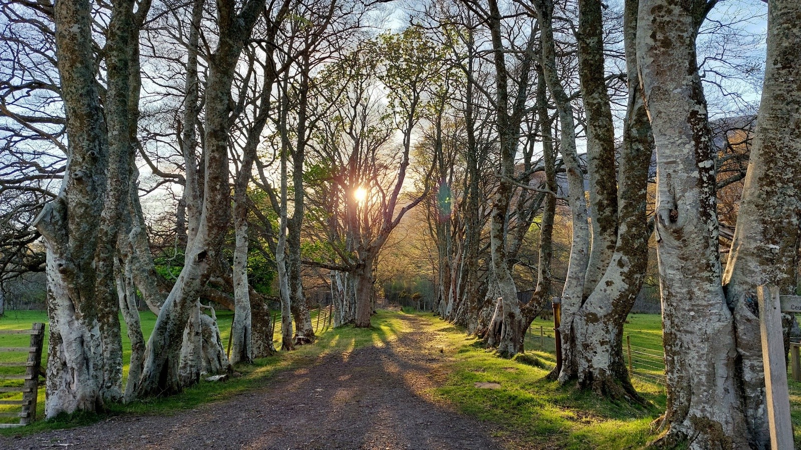 2. Fort William - Gairloch (130)