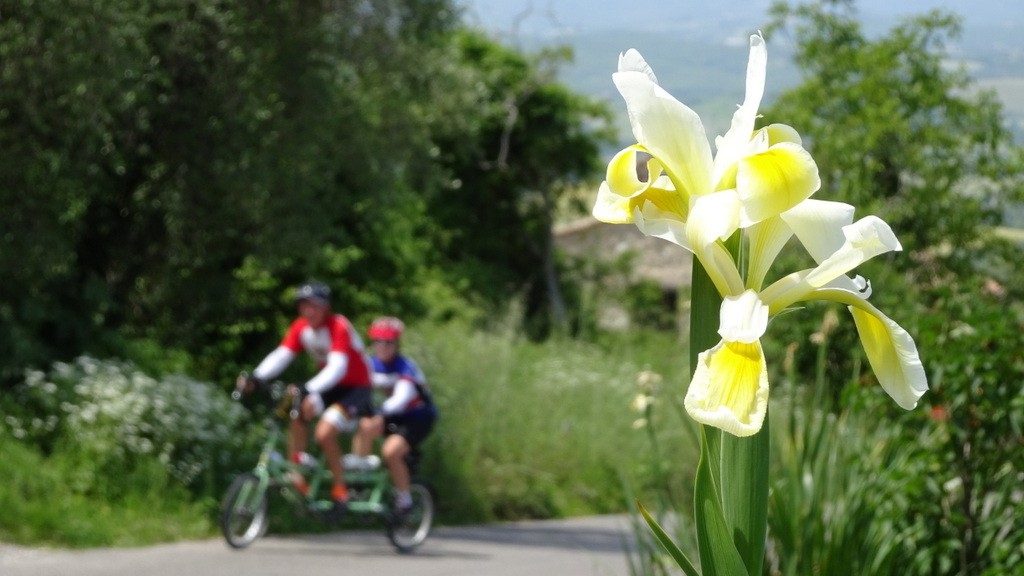 Tirreno-Adriatico 2016 (126)