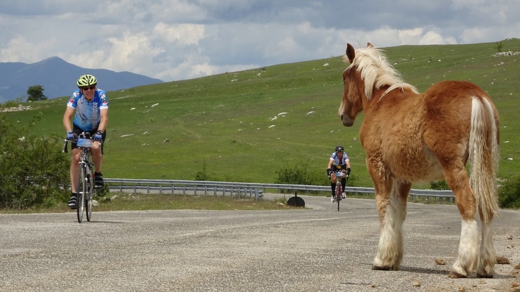 Tirreno-Adriatico 2016 (127)