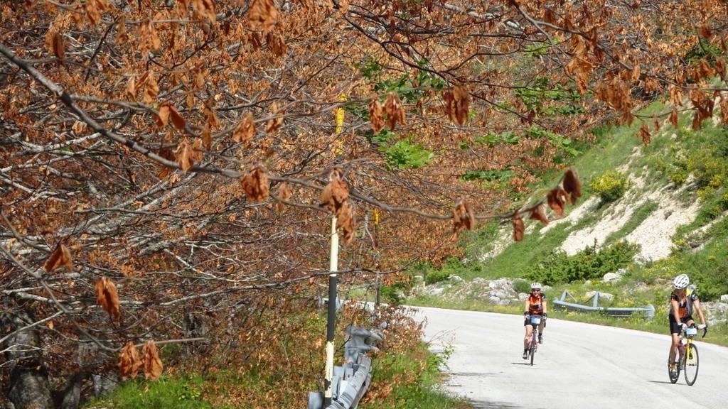 Tirreno-Adriatico 2016 (140)