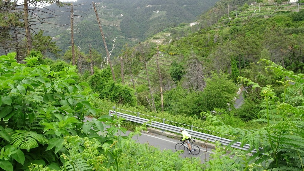 Tirreno-Adriatico 2016 (183)