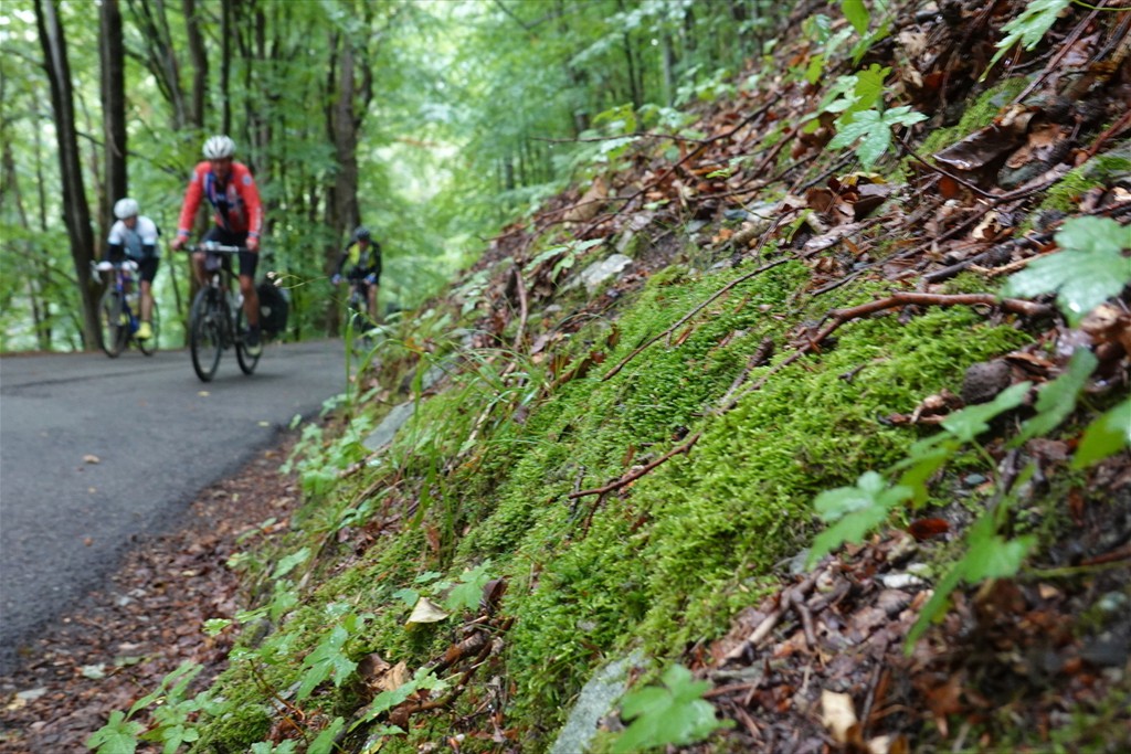 Milano-San Remo (120)