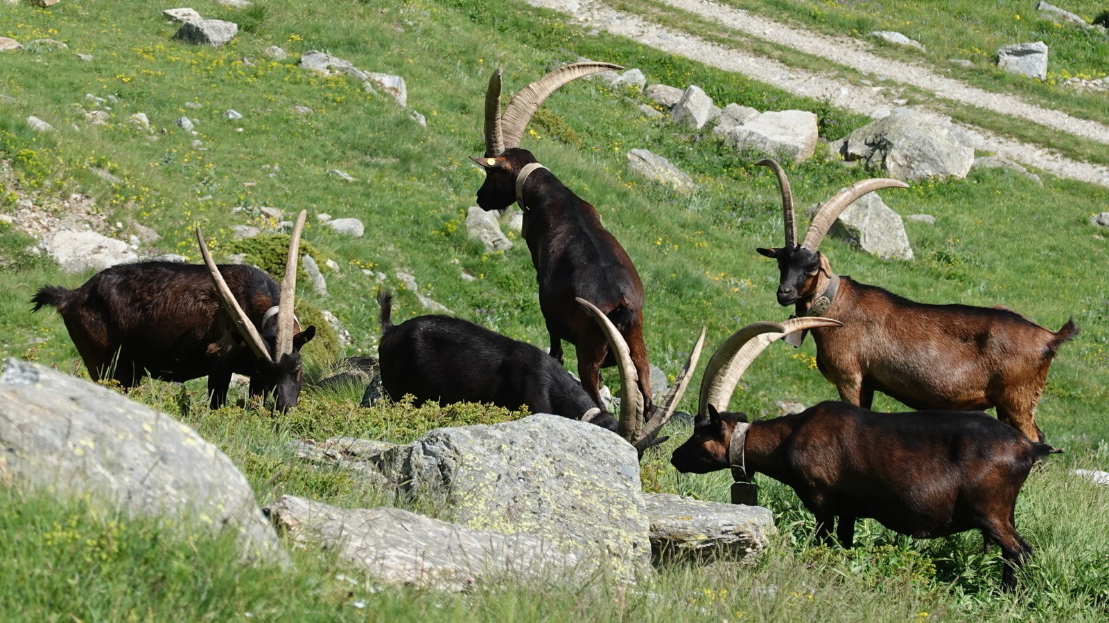 Milano - San Remo (104)