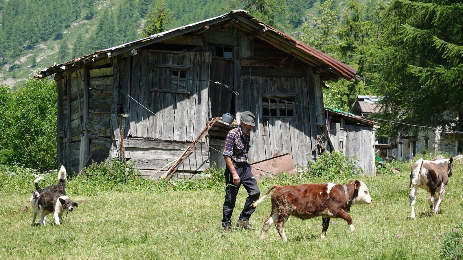 Milano - San Remo (110)