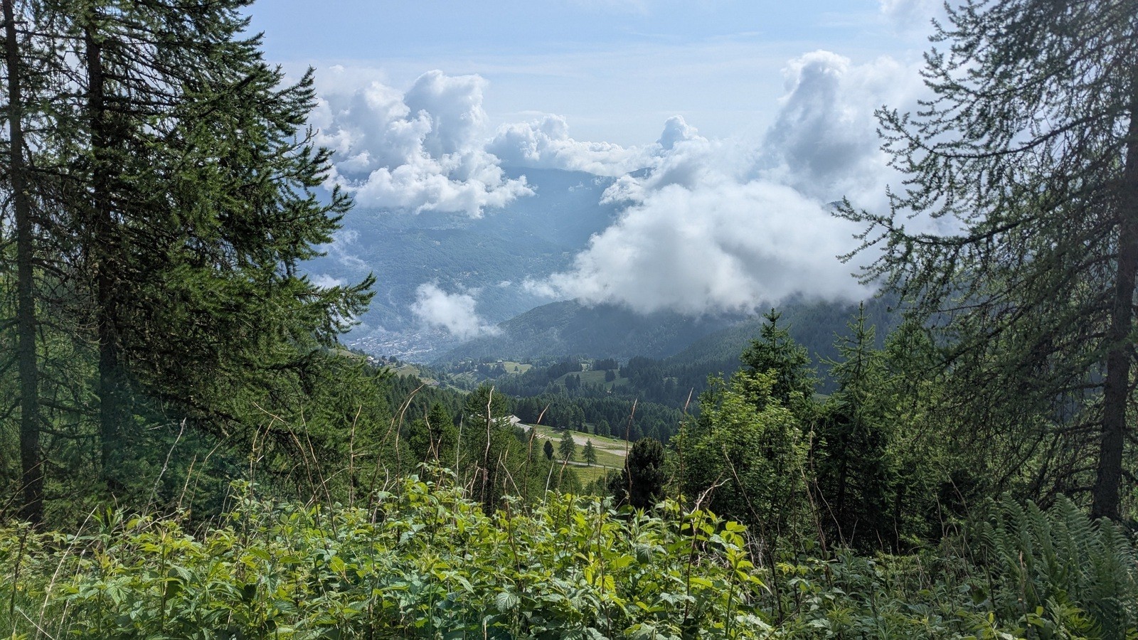 Milano - San Remo (111)