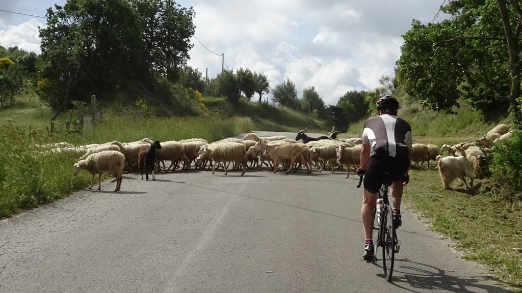 Tirreno - Adriatico (103)