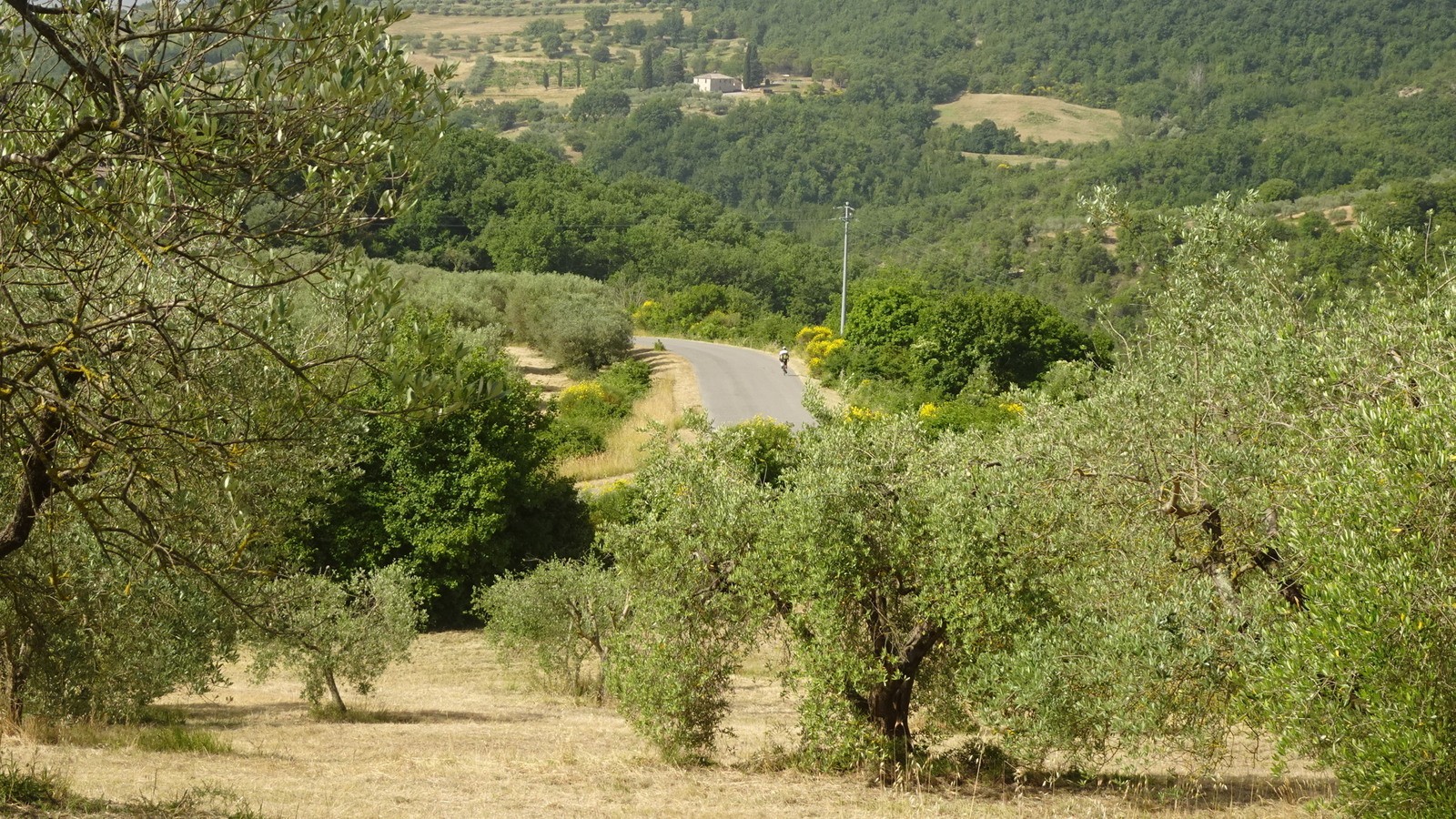 Tirreno-Adriatico 2021 (129)