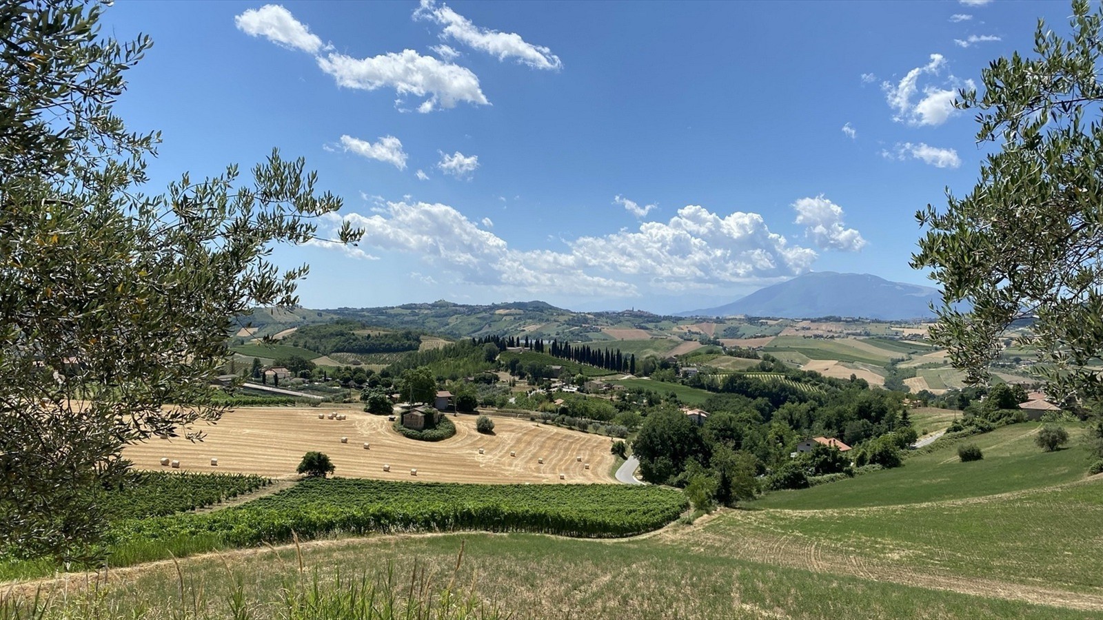 Tirreno-Adriatico 2021 (136)