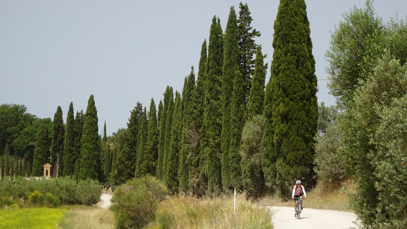 Tirreno-Adriatico 2021 (117)