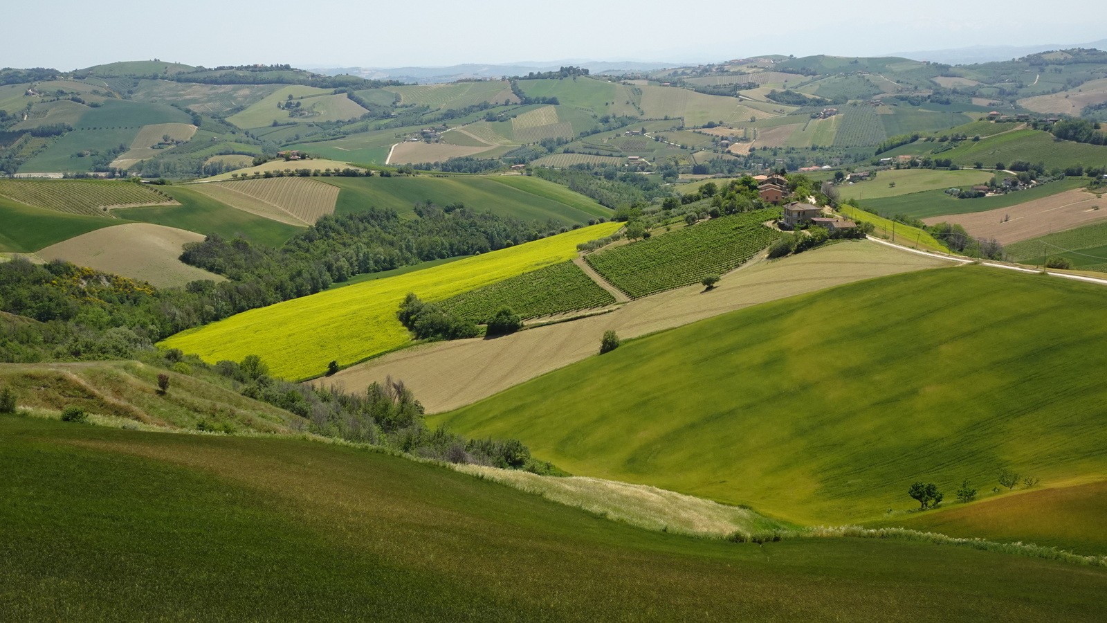 Tirreno-Adriatico 2022, Part 2 (115)