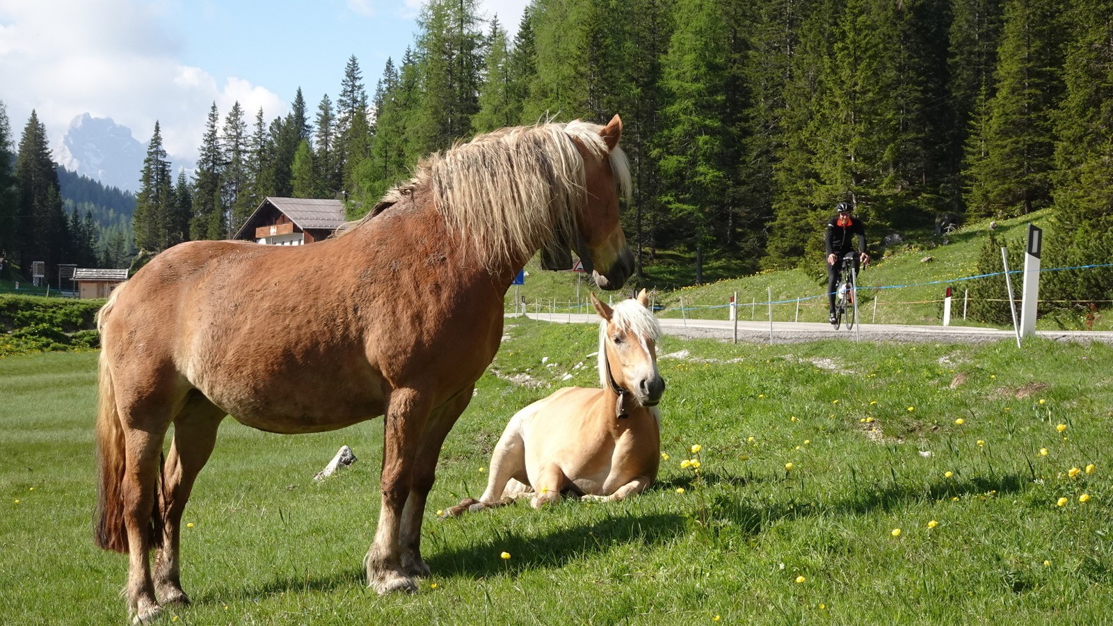 Tutti Dolomiti 2022, Part 2 (102)