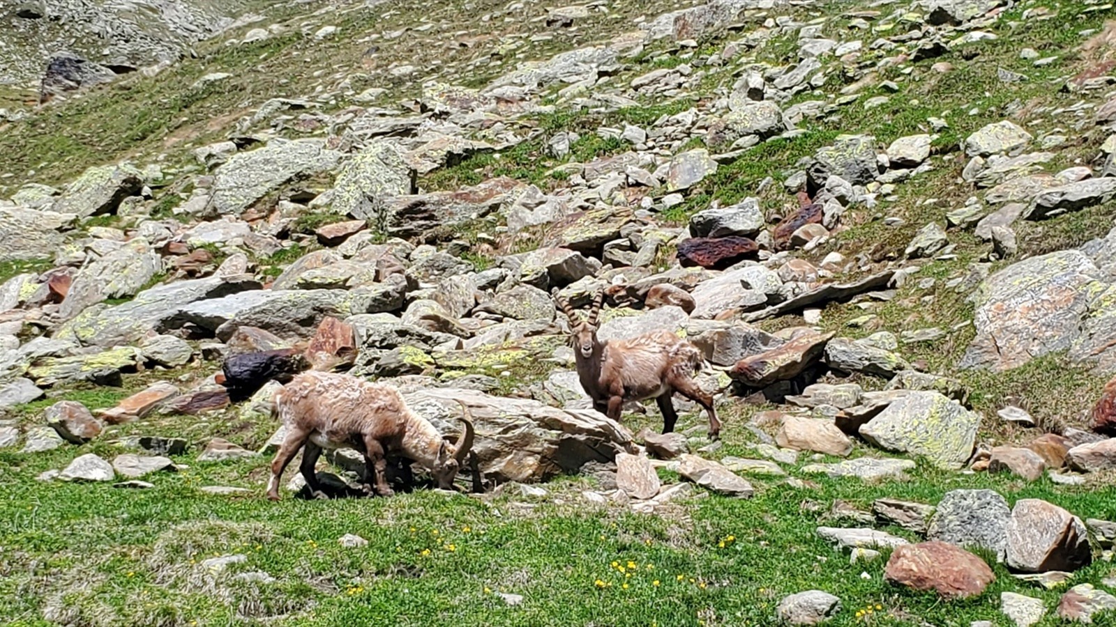 Tutti Dolomiti 2022, Part 2 (128)