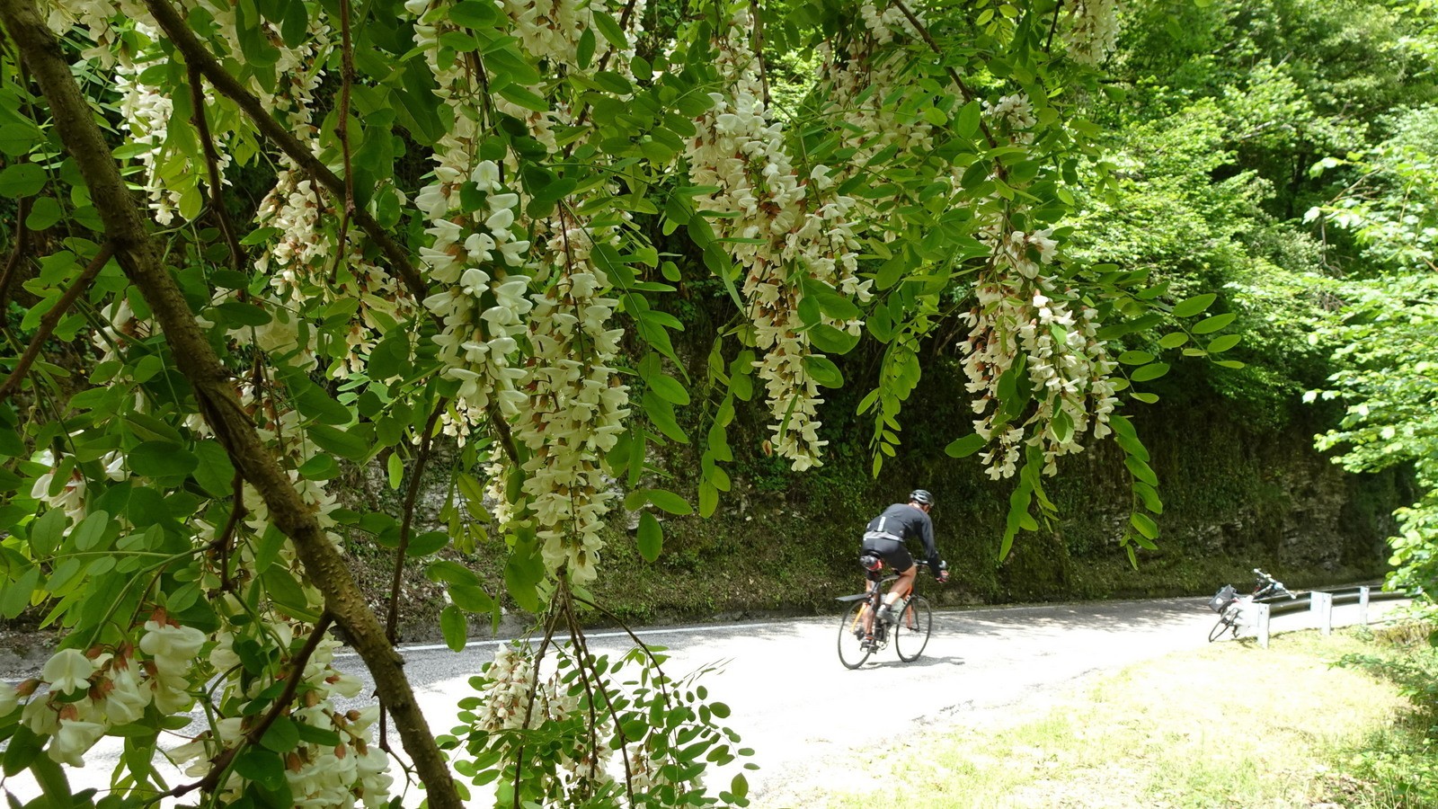 Tutti Dolomiti 2022, Part 2 (131)