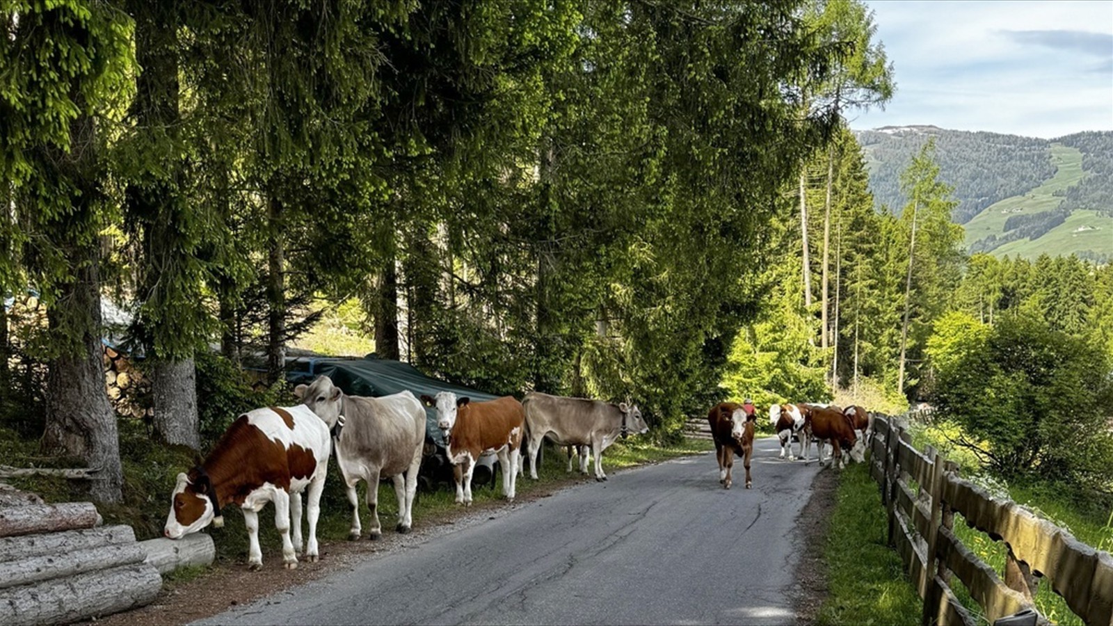 Tutti Dolomiti, Part I (144)