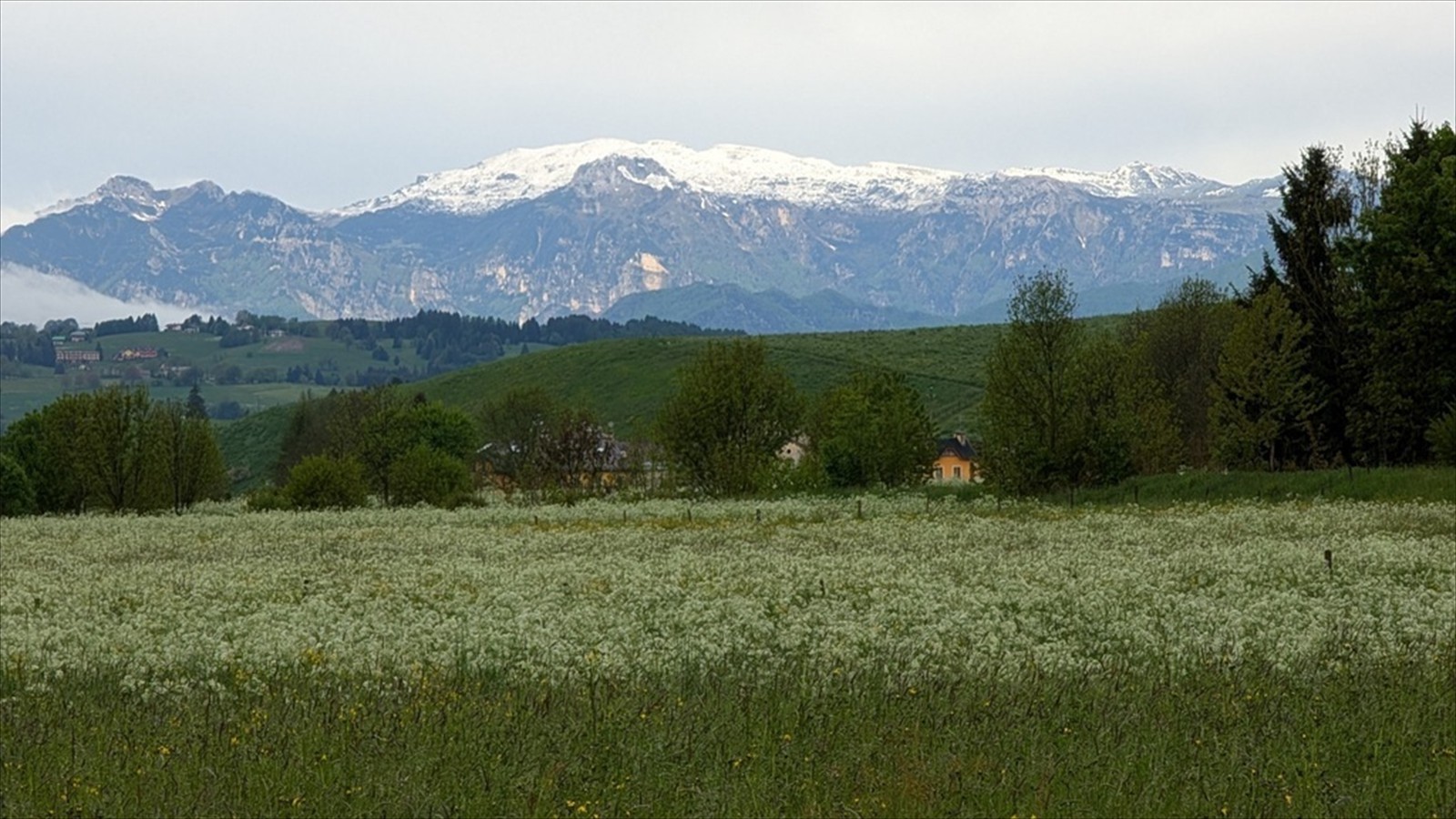 Tutti Dolomiti, Part I (156)
