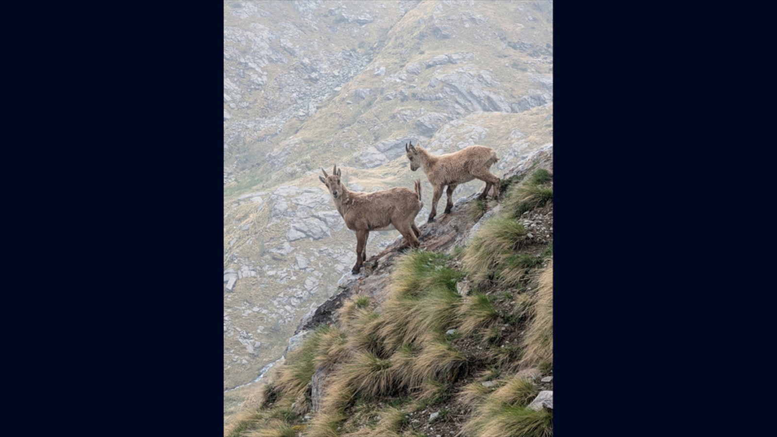 Tutti Dolomiti, Part II (113)