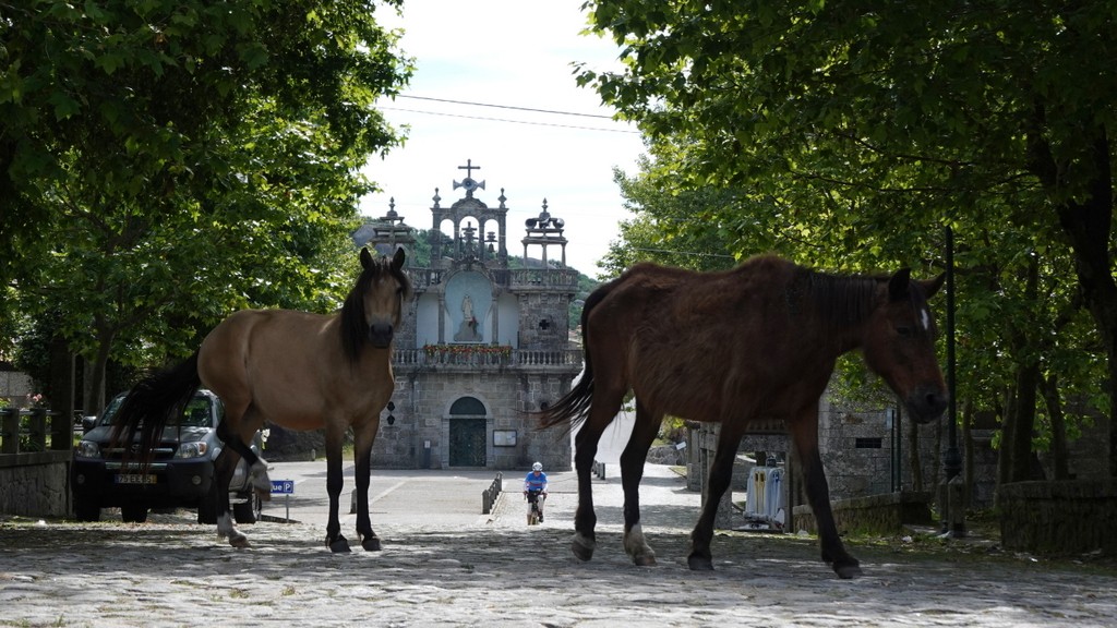 05. Santiago de Compostella - Porto (101)