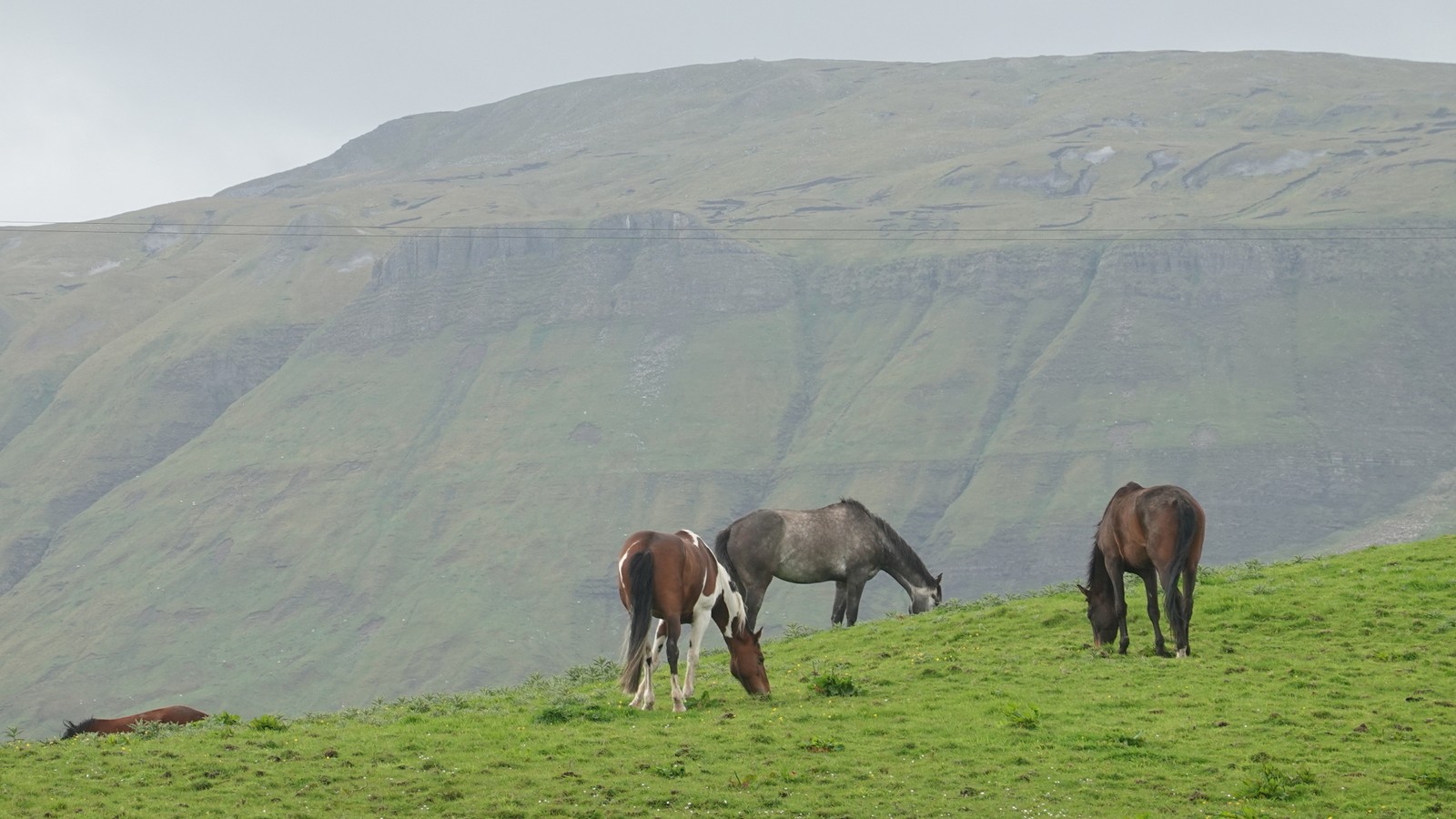 04. Ballina - Derry (127)