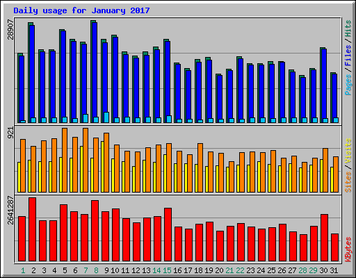 Daily usage for January 2017