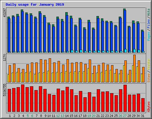 Daily usage for January 2019