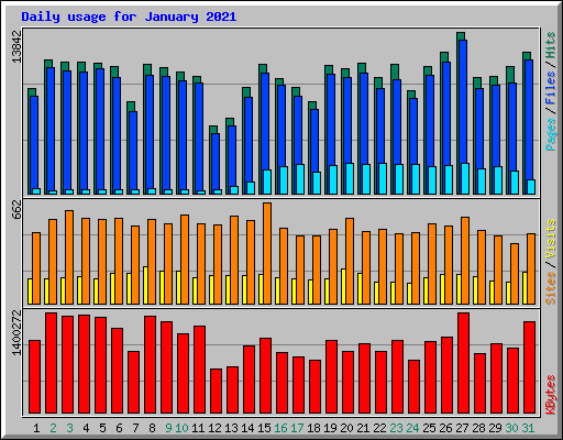 Daily usage for January 2021