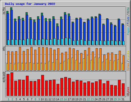 Daily usage for January 2022