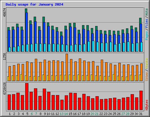 Daily usage for January 2024
