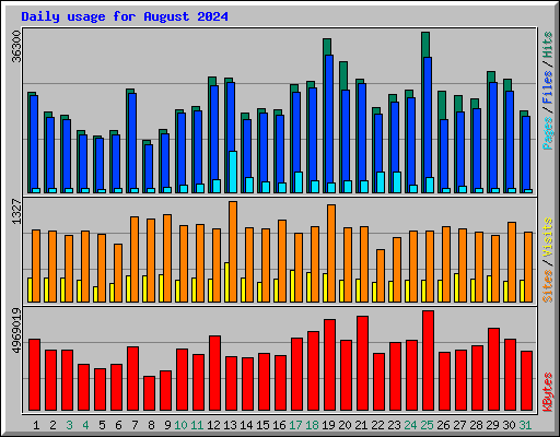 Daily usage for August 2024