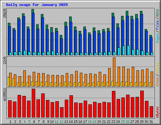 Daily usage for January 2025