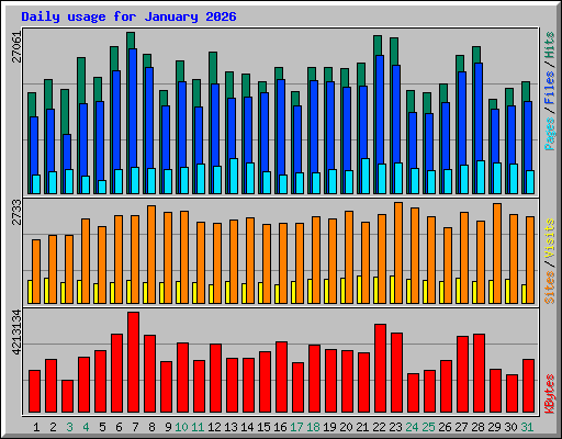 Daily usage for January 2026