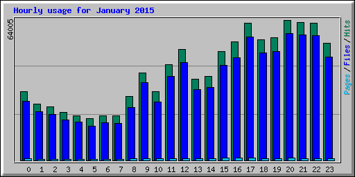Hourly usage for January 2015