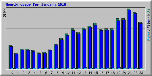 Hourly usage for January 2016