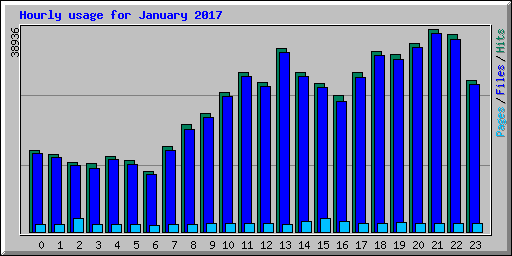 Hourly usage for January 2017
