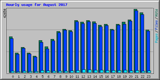 Hourly usage for August 2017