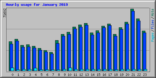 Hourly usage for January 2019