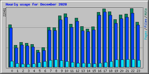 Hourly usage for December 2020