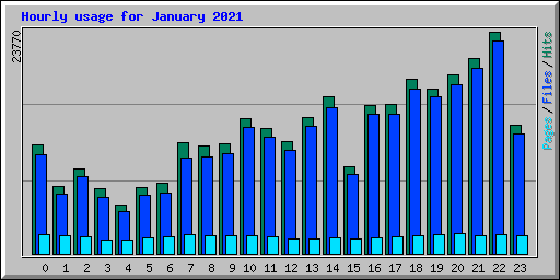 Hourly usage for January 2021