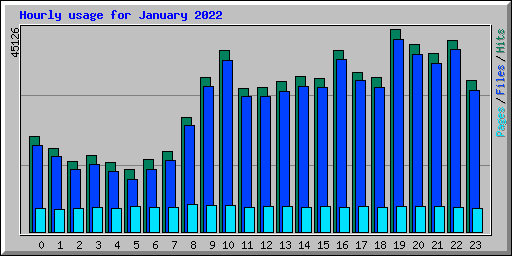 Hourly usage for January 2022
