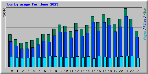 Hourly usage for June 2023