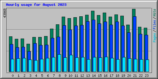 Hourly usage for August 2023