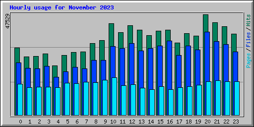 Hourly usage for November 2023