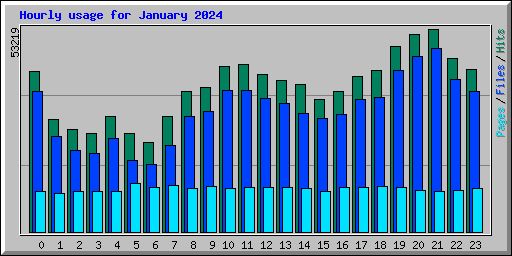Hourly usage for January 2024