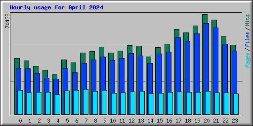 Hourly usage for April 2024