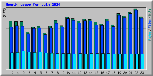 Hourly usage for July 2024