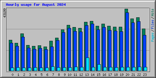 Hourly usage for August 2024
